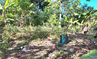 VENDO LOTE COLINDANTE CON RIO- QUEREVALO