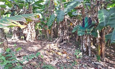 VENDO LOTE COLINDANTE CON RIO- QUEREVALO
