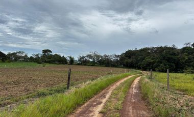 finca en venta en vereda campo alegre. Cod V9561806