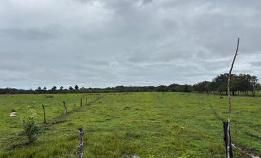 finca en venta en vereda campo alegre. Cod V9561806