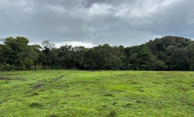 finca en venta en vereda campo alegre. Cod V9561806