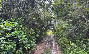 finca en venta en vereda campo alegre. Cod V9561806
