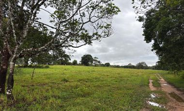 finca en venta en vereda campo alegre. Cod V9561806