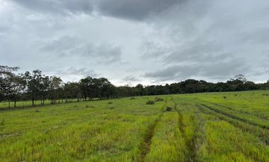 finca en venta en vereda campo alegre. Cod V9561806