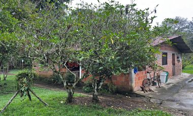 finca en venta en vereda campo alegre. Cod V9561806