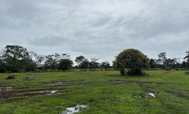 finca en venta en vereda campo alegre. Cod V9561806