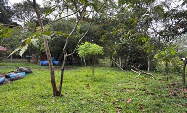 finca en venta en vereda campo alegre. Cod V9561806