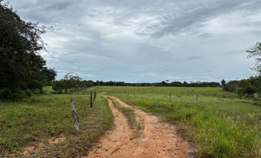 finca en venta en vereda campo alegre. Cod V9561806
