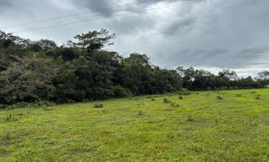 finca en venta en vereda campo alegre. Cod V9561806