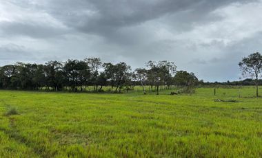 finca en venta en vereda campo alegre. Cod V9561806