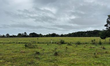 finca en venta en vereda campo alegre. Cod V9561806