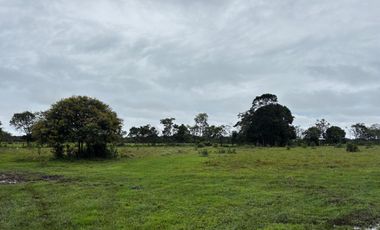 finca en venta en vereda campo alegre. Cod V9561806