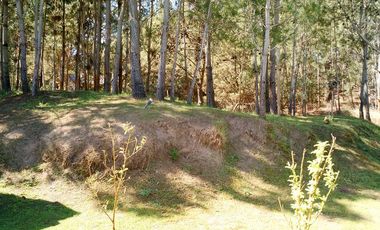 HERMOSO CHALET CON DETALLES UNICOS CASI A ESTRENAR EN EL BOSQUE DE COSTA DEL ESTE.