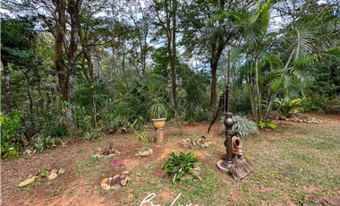 TERRENO DE 5 HECTAREAS CON CASA EN VENTA, CERRO AZUL (2)