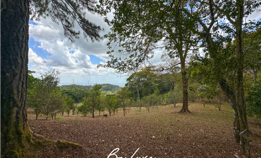 TERRENO DE 5 HECTAREAS CON CASA EN VENTA, CERRO AZUL (2)