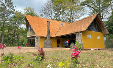 TERRENO DE 5 HECTAREAS CON CASA EN VENTA, CERRO AZUL (2)