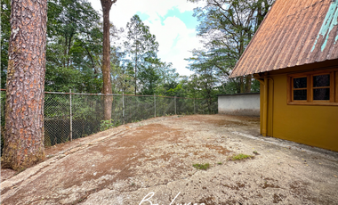 TERRENO DE 5 HECTAREAS CON CASA EN VENTA, CERRO AZUL (2)