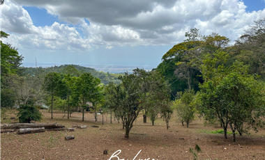 TERRENO DE 5 HECTAREAS CON CASA EN VENTA, CERRO AZUL (2)