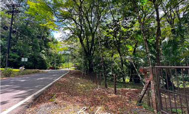 TERRENO DE 5 HECTAREAS CON CASA EN VENTA, CERRO AZUL (2)