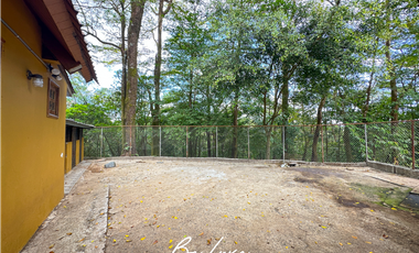 TERRENO DE 5 HECTAREAS CON CASA EN VENTA, CERRO AZUL (2)