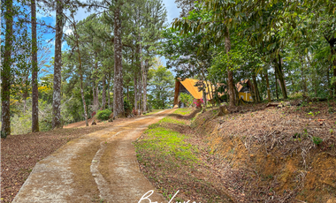 TERRENO DE 5 HECTAREAS CON CASA EN VENTA, CERRO AZUL (2)