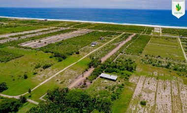 Fraccionamiento “Cactus” En Playa Palmarito, Puerto Escondido Oaxaca