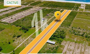 Fraccionamiento “Cactus” En Playa Palmarito, Puerto Escondido Oaxaca