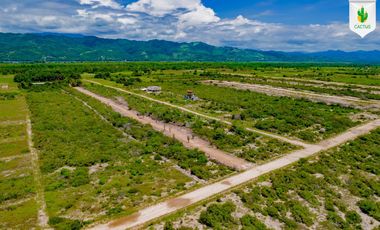 Fraccionamiento “Cactus” En Playa Palmarito, Puerto Escondido Oaxaca