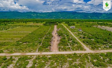 Fraccionamiento “Cactus” En Playa Palmarito, Puerto Escondido Oaxaca