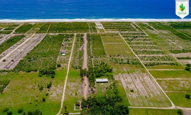 Fraccionamiento “Cactus” En Playa Palmarito, Puerto Escondido Oaxaca