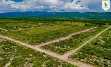 Fraccionamiento “Cactus” En Playa Palmarito, Puerto Escondido Oaxaca