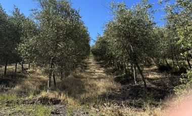 Sitio en Venta en Ruta k-530