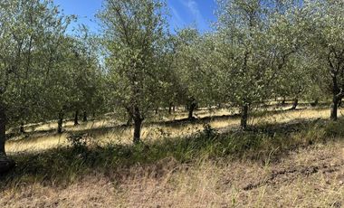 Sitio en Venta en Ruta k-530