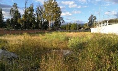 ARRIENDO TERRENO COMERCIAL EN PIFO CON FRENTE A LA E35