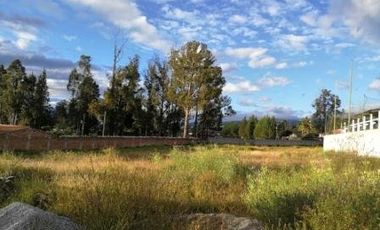 ARRIENDO TERRENO COMERCIAL EN PIFO CON FRENTE A LA E35