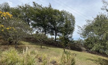casa campestre en arriendo en pradera de potosí. Cod A7431680