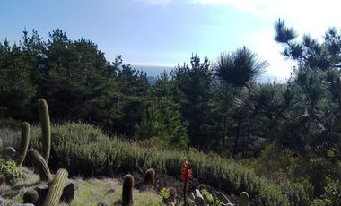 Parcela en Venta en Condominio Faro de Curaumilla /Laguna Verde