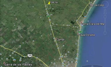 Campo - Mar Del Plata
