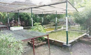 Rumah Dijual di Pinggir Kota Palembang