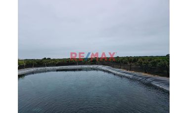 146 hectáreas tituladas en Olmos sector tierra Rajada, listas para sembrar todo tipo de productos para agro exportación, buen clima todo el año, cerca