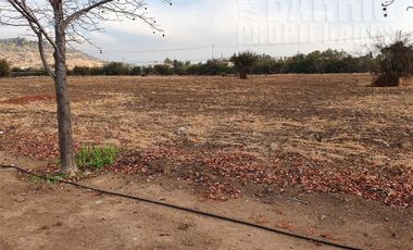Sitio en Venta en Chicureo Centro