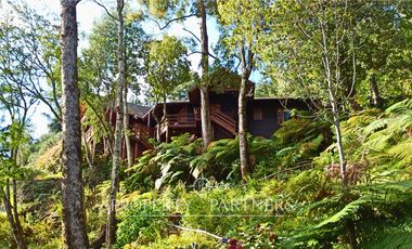 3 Preciosas Casas orilla de Lago Panguipulli en 2,4 ha. y 112 mts de playa