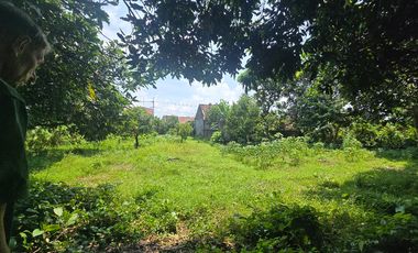 Dijual Tanah Kavling Raya Kampung Baru Warujareng  Tanjunganom Nganjuk