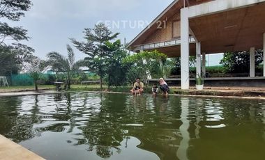 Dijual Di Bawah Harga Pasar Villa Strategis Di Perum Griya Triga
