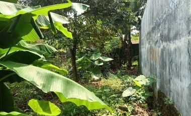 TANAH PEKARANGAN BONUS BANGUNAN DI BANJARNEGARA