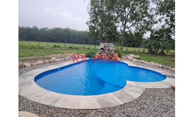 En Venta: Fundo - Casa Y Bosque En Moyobamba