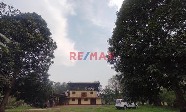 En Venta: Fundo - Casa Y Bosque En Moyobamba