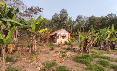 En Venta: Fundo - Casa Y Bosque En Moyobamba