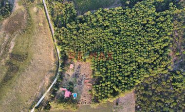 En Venta: Fundo - Casa Y Bosque En Moyobamba