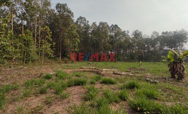 En Venta: Fundo - Casa Y Bosque En Moyobamba